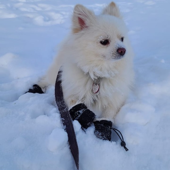 Meet your Posher, Christine - Picture 1 of 1